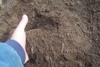 Chicago Matters: Beyond Burnham -- "Soil Reuse Ordinance" on WTTW